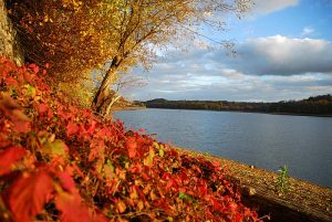 Camping Hautoreille. Etape Langres. Haute Marnes. proche autoroute. route du soleil. ouvert en hiver. calme. arboré. caravanes a louées. emplacement dur . nature. randonnées. Restaurant camping Hautoreille. Pays des 4 Lacs. Baignade. Lacs. pêche. activités nautiques fleurs. jardin. Tourisme vert. Hautoreille-camping. Langres-etappe. Haute Marnes. dichtbij autoweg. weg van de zon. geopend in de winter. rust. gehesen. de woonwagens heeft gehuurd. harde plaats. natuur. tochten. Restaurant camping Hautoreille. Land van de 4 Meren. Baden. Meren. Groen toerisme. Hautoreille camp-site. Langres stage. Haute Marnes. close motorway. road of the sun. opened in winter. calm. raised. caravans rented. hard site. nature. excursions. Restaurant Hautoreille camp-site. Country of the 4 Lakes. Bathe. Lakes. Country holidays. Hautoreille-Camping. Langres-Etappe. Haute Marnes. nah Autobahn. Straße der Sonne. offen im Winter. Ruhe. zur Schau getragen. Wohnwagen hat gemietet. harter Ort. Natur. Ausflüge. Restaurant Camping Hautoreille. Land der 4 Seen. Baden. Seen. Grüner Tourismus.