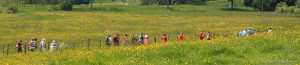 Camping Hautoreille. Etape Langres. Haute Marnes. proche autoroute. route du soleil. ouvert en hiver. calme. arboré. caravanes a louées. emplacement dur . nature. randonnées. Restaurant camping Hautoreille. Pays des 4 Lacs. Baignade. Lacs. pêche. fleurs. jardin. Tourisme vert. Hautoreille-camping. Langres-etappe. Haute Marnes. dichtbij autoweg. weg van de zon. geopend in de winter. rust. gehesen. de woonwagens heeft gehuurd. harde plaats. natuur. tochten. Restaurant camping Hautoreille. Land van de 4 Meren. Baden. Meren. Groen toerisme. Hautoreille camp-site. Langres stage. Haute Marnes. close motorway. road of the sun. opened in winter. calm. raised. caravans rented. hard site. nature. excursions. Restaurant Hautoreille camp-site. Country of the 4 Lakes. Bathe. Lakes. Country holidays. Hautoreille-Camping. Langres-Etappe. Haute Marnes. nah Autobahn. Straße der Sonne. offen im Winter. Ruhe. zur Schau getragen. Wohnwagen hat gemietet. harter Ort. Natur. Ausflüge. Restaurant Camping Hautoreille. Land der 4 Seen. Baden. Seen. Grüner Tourismus.