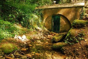 Camping Hautoreille. Etape Langres. Haute Marnes. proche autoroute. route du soleil. ouvert en hiver. calme. arboré. caravanes a louées. emplacement dur . nature. randonnées. Restaurant camping Hautoreille. Pays des 4 Lacs. Baignade. Lacs. pêche. activités nautiques fleurs. jardin. Tourisme vert. Hautoreille-camping. Langres-etappe. Haute Marnes. dichtbij autoweg. weg van de zon. geopend in de winter. rust. gehesen. de woonwagens heeft gehuurd. harde plaats. natuur. tochten. Restaurant camping Hautoreille. Land van de 4 Meren. Baden. Meren. Groen toerisme. Hautoreille camp-site. Langres stage. Haute Marnes. close motorway. road of the sun. opened in winter. calm. raised. caravans rented. hard site. nature. excursions. Restaurant Hautoreille camp-site. Country of the 4 Lakes. Bathe. Lakes. Country holidays. Hautoreille-Camping. Langres-Etappe. Haute Marnes. nah Autobahn. Straße der Sonne. offen im Winter. Ruhe. zur Schau getragen. Wohnwagen hat gemietet. harter Ort. Natur. Ausflüge. Restaurant Camping Hautoreille. Land der 4 Seen. Baden. Seen. Grüner Tourismus.