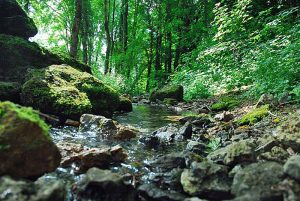 Camping Hautoreille. Etape Langres. Haute Marnes. proche autoroute. route du soleil. ouvert en hiver. calme. arboré. caravanes a louées. emplacement dur . nature. randonnées. Restaurant camping Hautoreille. Pays des 4 Lacs. Baignade. Lacs. pêche. activités nautiques fleurs. jardin. Tourisme vert. Hautoreille-camping. Langres-etappe. Haute Marnes. dichtbij autoweg. weg van de zon. geopend in de winter. rust. gehesen. de woonwagens heeft gehuurd. harde plaats. natuur. tochten. Restaurant camping Hautoreille. Land van de 4 Meren. Baden. Meren. Groen toerisme. Hautoreille camp-site. Langres stage. Haute Marnes. close motorway. road of the sun. opened in winter. calm. raised. caravans rented. hard site. nature. excursions. Restaurant Hautoreille camp-site. Country of the 4 Lakes. Bathe. Lakes. Country holidays. Hautoreille-Camping. Langres-Etappe. Haute Marnes. nah Autobahn. Straße der Sonne. offen im Winter. Ruhe. zur Schau getragen. Wohnwagen hat gemietet. harter Ort. Natur. Ausflüge. Restaurant Camping Hautoreille. Land der 4 Seen. Baden. Seen. Grüner Tourismus.