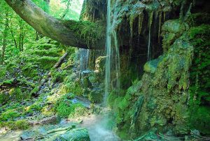 Camping Hautoreille. Etape Langres. Haute Marnes. proche autoroute. route du soleil. ouvert en hiver. calme. arboré. caravanes a louées. emplacement dur . nature. randonnées. Restaurant camping Hautoreille. Pays des 4 Lacs. Baignade. Lacs. pêche. activités nautiques fleurs. jardin. Tourisme vert. Hautoreille-camping. Langres-etappe. Haute Marnes. dichtbij autoweg. weg van de zon. geopend in de winter. rust. gehesen. de woonwagens heeft gehuurd. harde plaats. natuur. tochten. Restaurant camping Hautoreille. Land van de 4 Meren. Baden. Meren. Groen toerisme. Hautoreille camp-site. Langres stage. Haute Marnes. close motorway. road of the sun. opened in winter. calm. raised. caravans rented. hard site. nature. excursions. Restaurant Hautoreille camp-site. Country of the 4 Lakes. Bathe. Lakes. Country holidays. Hautoreille-Camping. Langres-Etappe. Haute Marnes. nah Autobahn. Straße der Sonne. offen im Winter. Ruhe. zur Schau getragen. Wohnwagen hat gemietet. harter Ort. Natur. Ausflüge. Restaurant Camping Hautoreille. Land der 4 Seen. Baden. Seen. Grüner Tourismus.