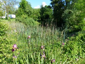 Camping Hautoreille. Etape Langres. Haute Marnes. proche autoroute. route du soleil. ouvert en hiver. calme. arboré. caravanes a louées. emplacement dur . nature. randonnées. Restaurant camping Hautoreille. Pays des 4 Lacs. Baignade. Lacs. pêche. activités nautiques fleurs. jardin. Tourisme vert. Hautoreille-camping. Langres-etappe. Haute Marnes. dichtbij autoweg. weg van de zon. geopend in de winter. rust. gehesen. de woonwagens heeft gehuurd. harde plaats. natuur. tochten. Restaurant camping Hautoreille. Land van de 4 Meren. Baden. Meren. Groen toerisme. Hautoreille camp-site. Langres stage. Haute Marnes. close motorway. road of the sun. opened in winter. calm. raised. caravans rented. hard site. nature. excursions. Restaurant Hautoreille camp-site. Country of the 4 Lakes. Bathe. Lakes. Country holidays. Hautoreille-Camping. Langres-Etappe. Haute Marnes. nah Autobahn. Straße der Sonne. offen im Winter. Ruhe. zur Schau getragen. Wohnwagen hat gemietet. harter Ort. Natur. Ausflüge. Restaurant Camping Hautoreille. Land der 4 Seen. Baden. Seen. Grüner Tourismus.